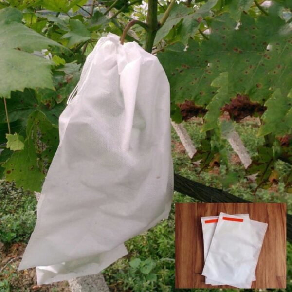 Non-woven Seedling Bag